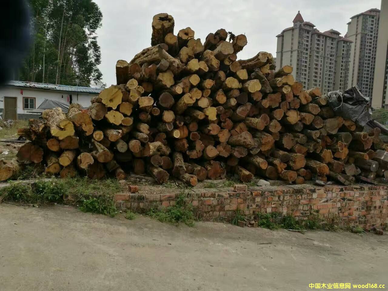 Sɣľ  ľ  ľ  ʯ    S