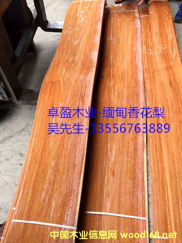 [] 0,3MM黨/㻨/̴ľƤ