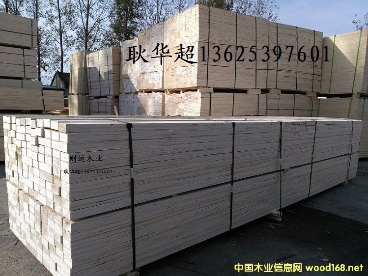 SֱNNҎzϰ LVL ӰԔB