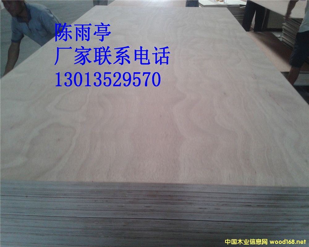 [] (yng)W() 15mmоzϰ