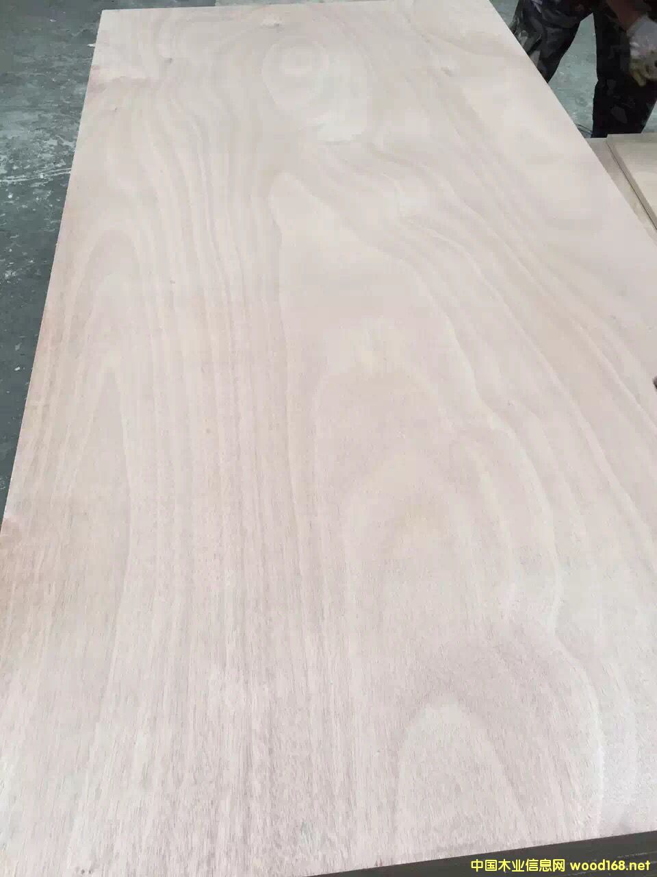 c(din)鿴15匍(sh)ľӰϵзŴDƬ