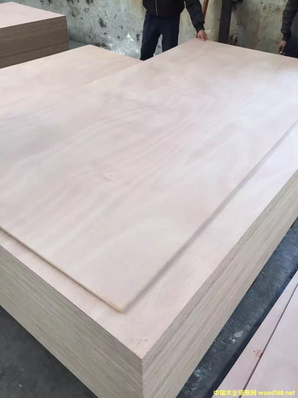 c(din)鿴10ƯҾ߰ŴDƬ