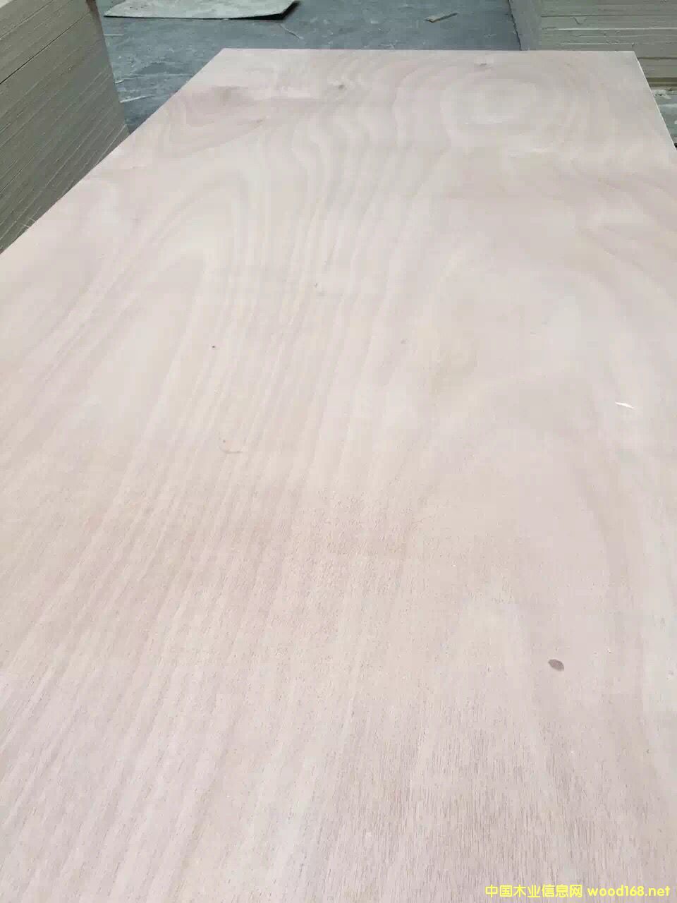 c(din)鿴12ľоҾ߰ ˮϵзŴDƬ