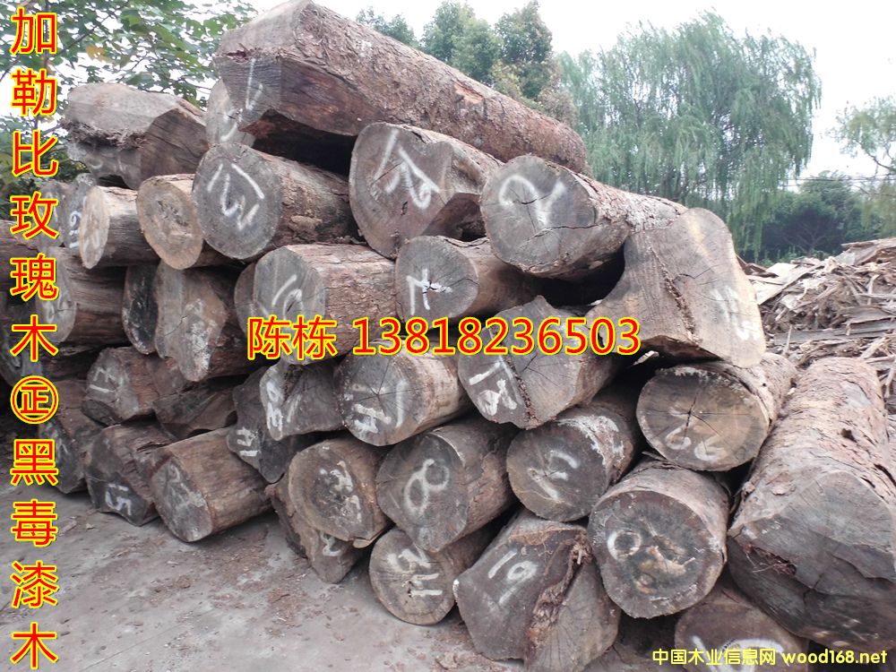 ֦ձõľzS̴ڶľ޴~Sڻľ