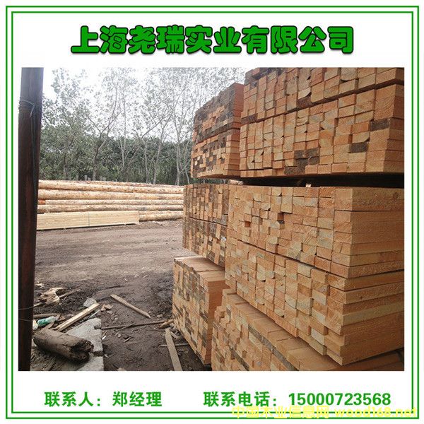   SֱN (yu)|(zh)ľĚgӭR