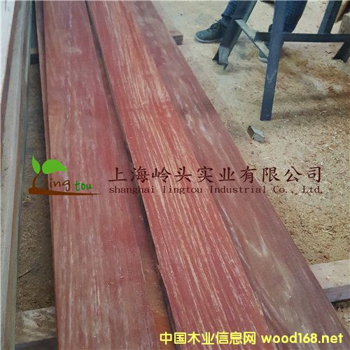 c(din)鿴ẗ́ľԔ(x)Y