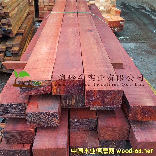 c(din)鿴ẗ́ľԔ(x)Y