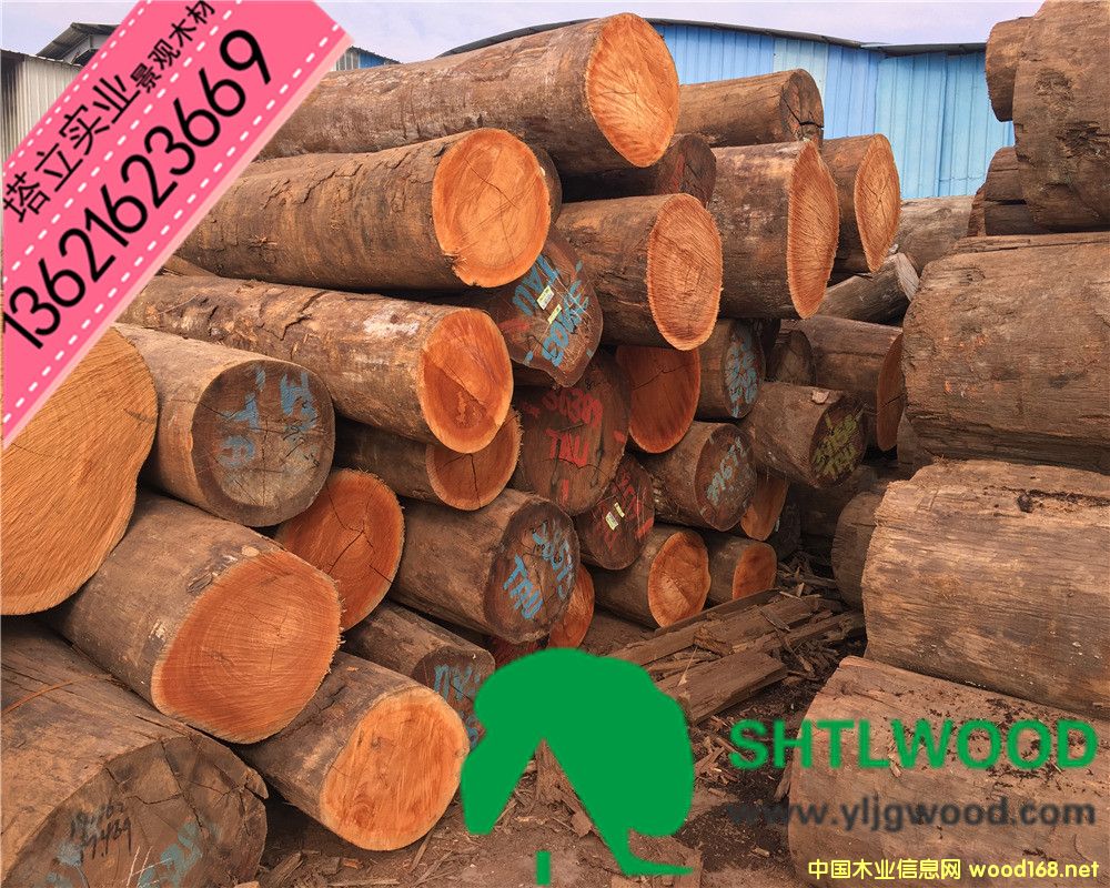 ̈́ľtľt񡢰͵ľľyľڂҡľ