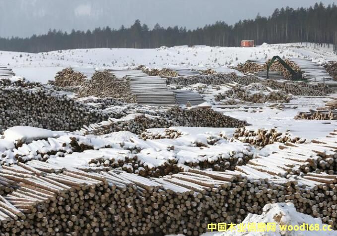 _˹˹Z˹߅^(q)ԭľѷŅ^(q)