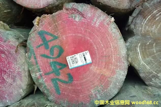 dA ɭľI؛mݗɣסџo