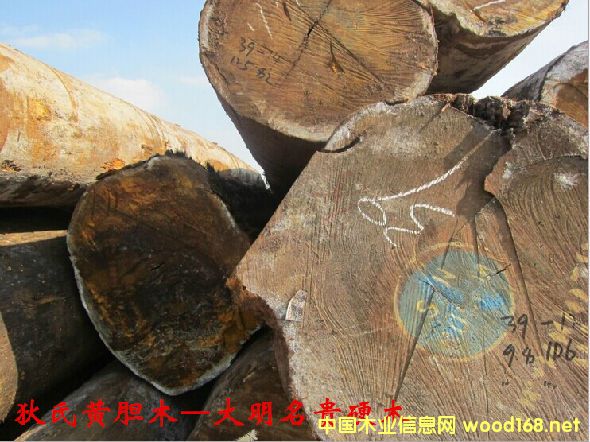 ľĘNԔ--Sđľ  ׷Q: ͵ľӼ{̴