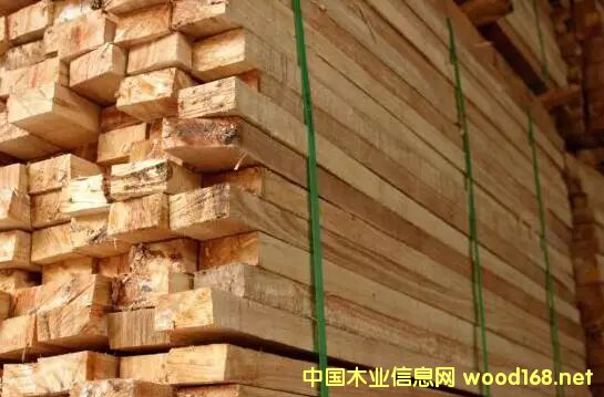 zľ(jng)I됺Ը Խ̝Խ