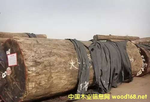 ͻϰ ľδОlΣCITES׌֮ĽY