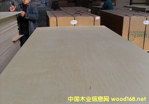 Rʳzϰ峬17|Ԫ ͬL(zhng)6.7%