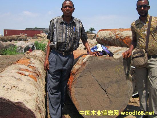 Сͻ-Ҹн(zhn)ۅ^(q)(lin)\(chng)ľĽ(jng)I(yng)