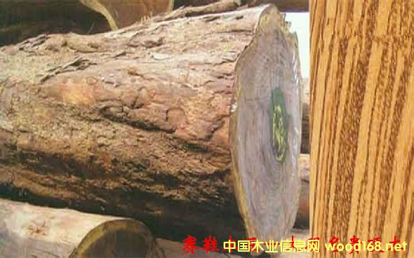 ľĘNԔ--ِЬľ  ׷QСRؐ