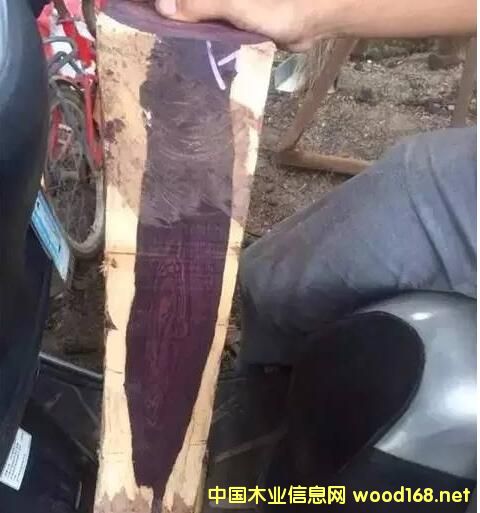 ِS̴:һNð亣Sľ,ƶ_90%