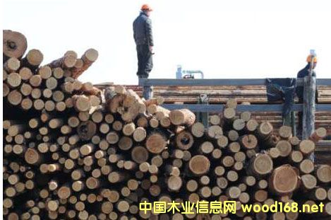 MBءҺӿڰľĵ؛yӋ