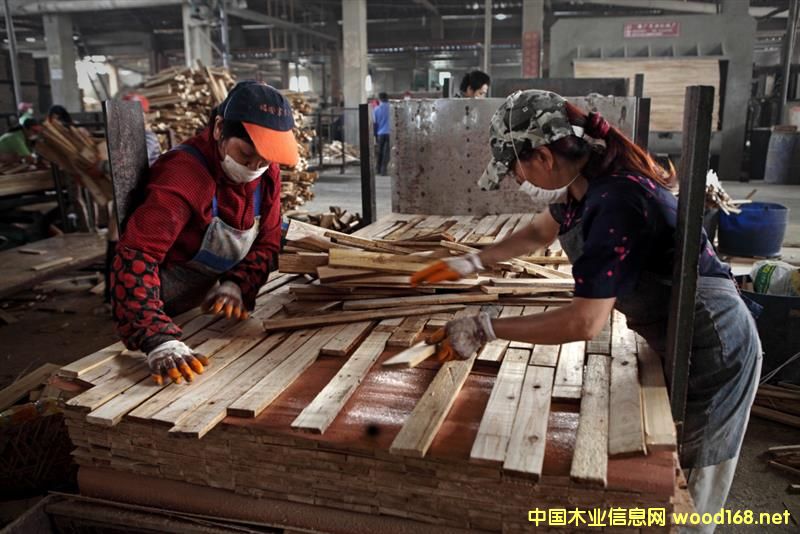 ҽ縻ľI(y)ʣľ_(d)5f(wn)