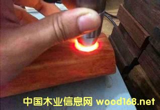 tľDNAzyF(xin)op?zhn)? border=