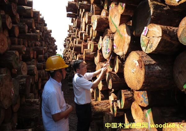 MľęzЈ_ģʽ |ƄӰlչ