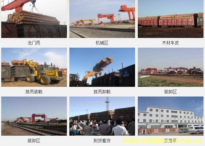 Bؿڰ18¹M_˹ľ13588