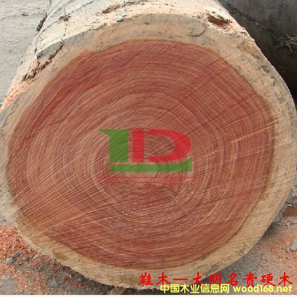 ľĘ(sh)NԔ--Ьľ  ׷Qtõ塢õRľtľ