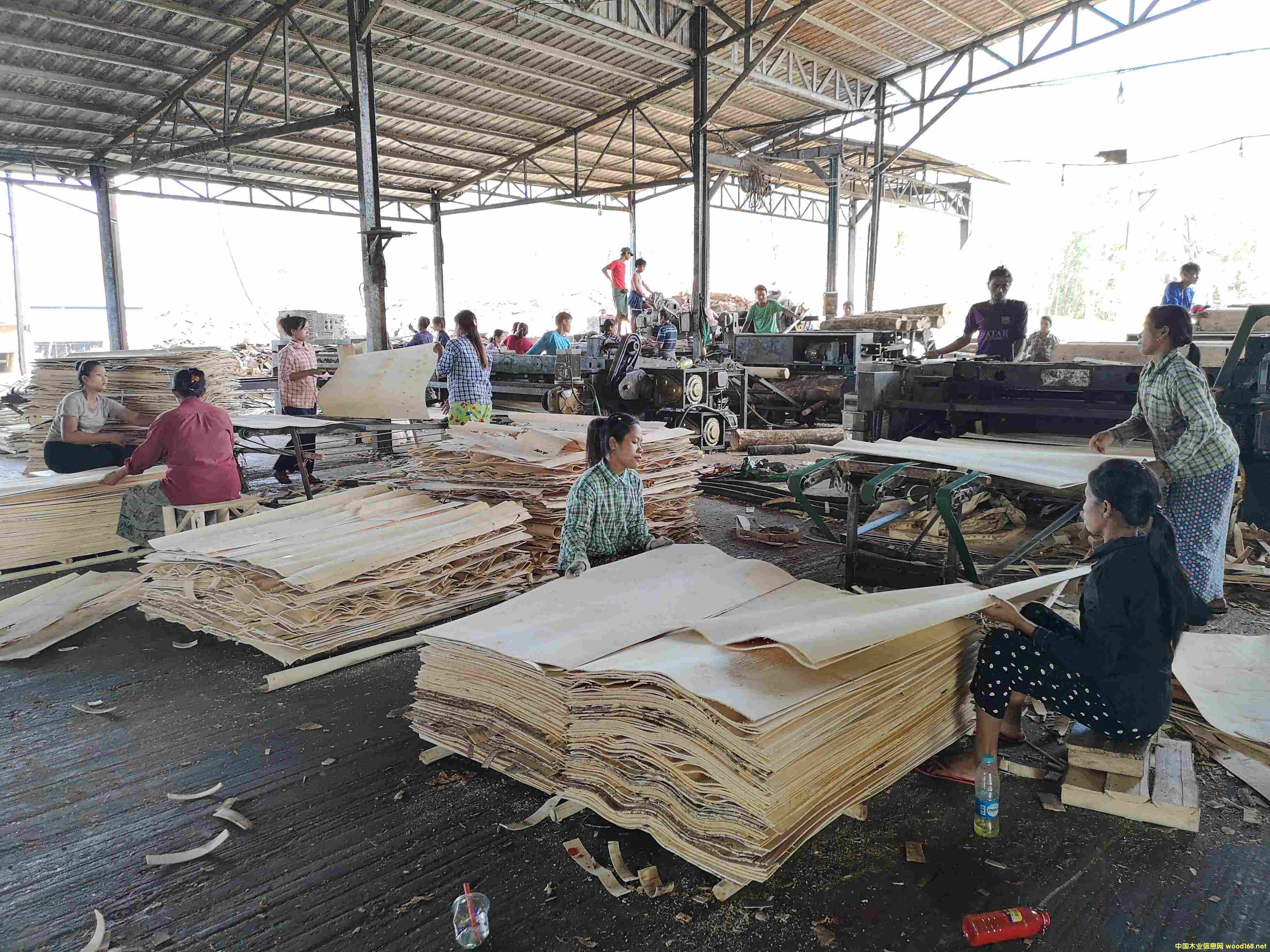 [] Mzľΰ zľװ zľľƤ