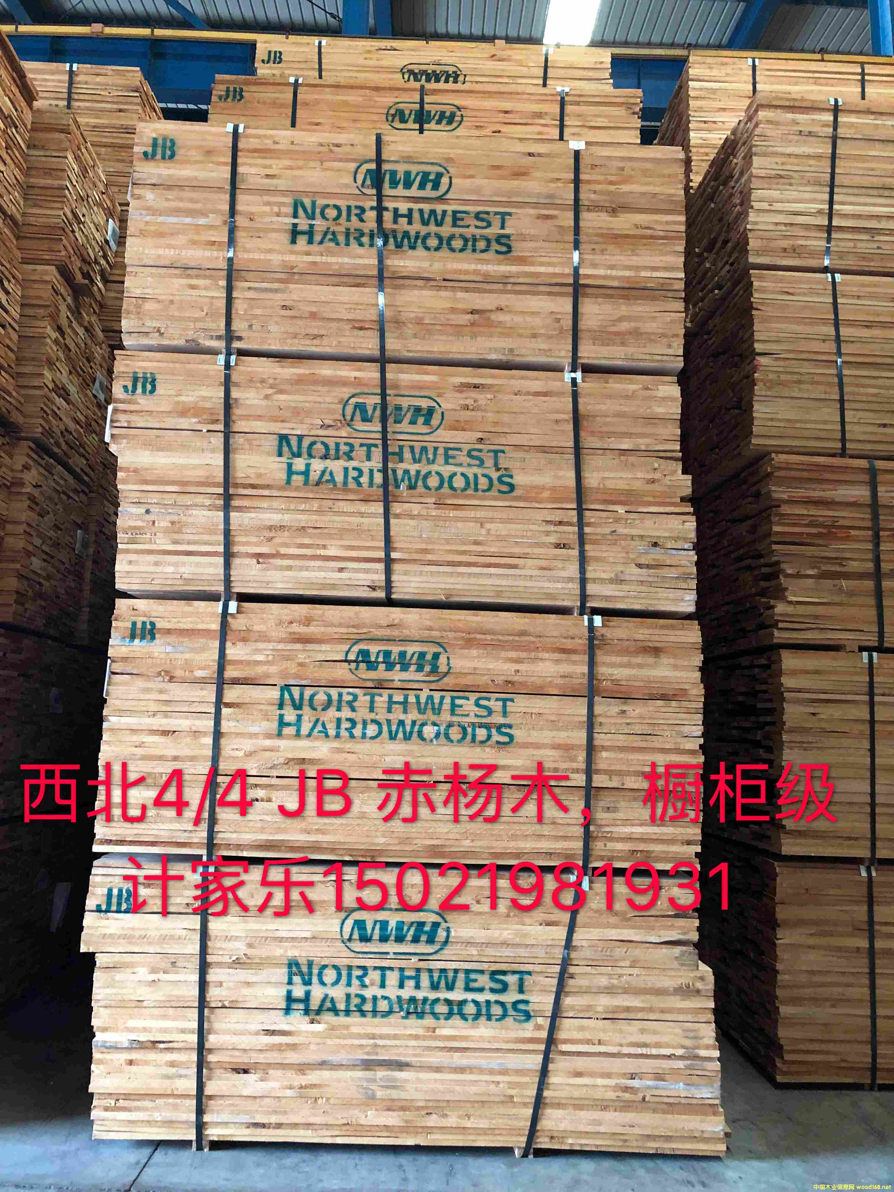 赤楊木的詳細介紹