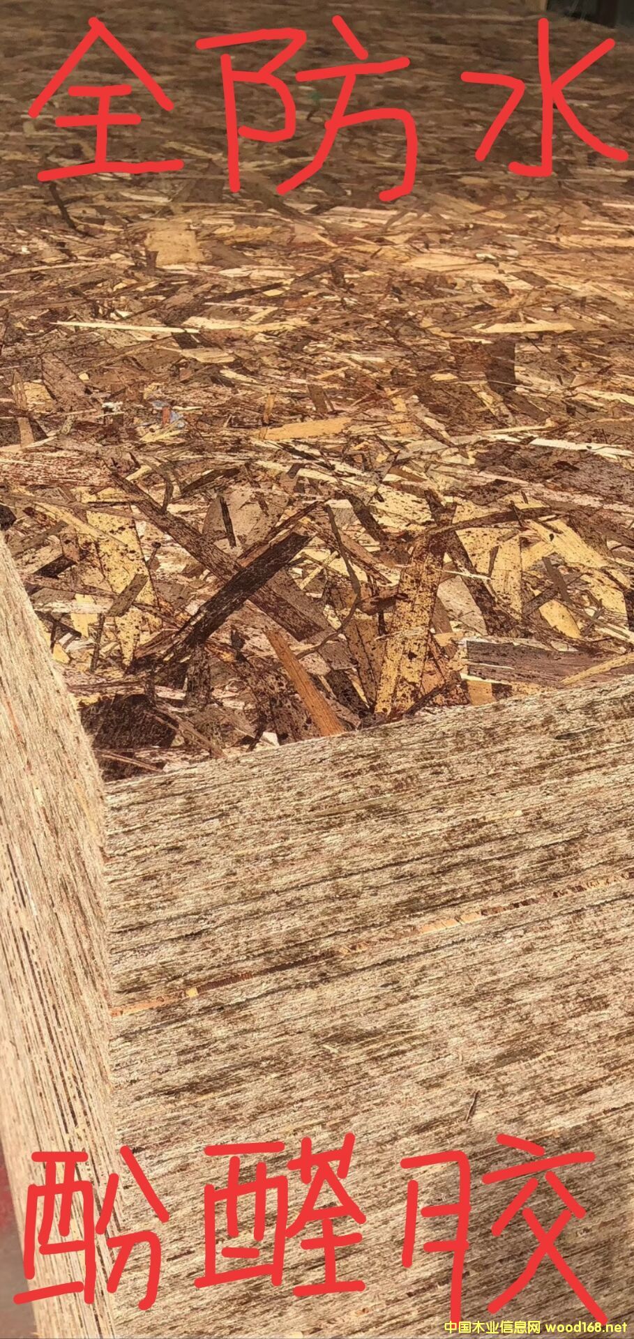 [] ɽ|ľI޹˾IaˮosbWɰ