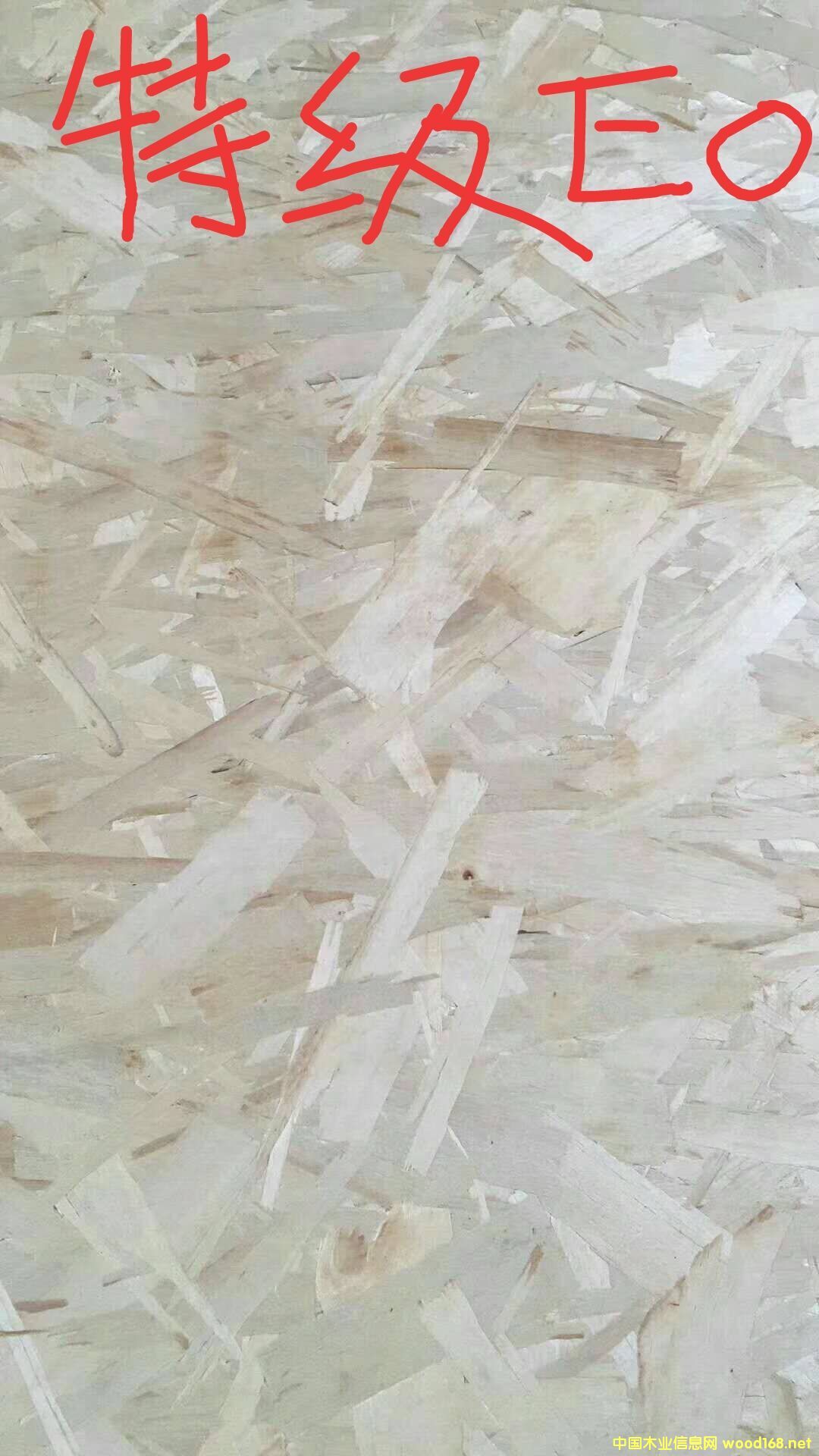 [] ɽ|ľI޹˾IaˮosbWɰ