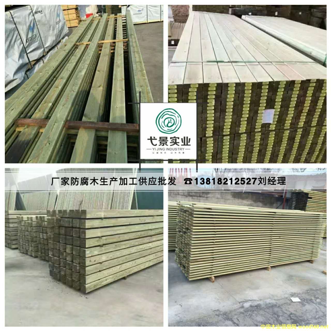 芬蘭木的詳細介紹