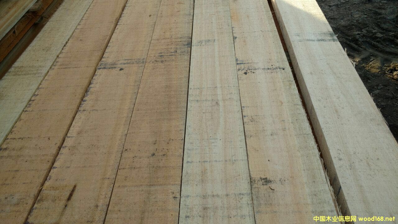 õľ F.A.S 피(j) o(w)(ji)c(din)Ԕ(x)B