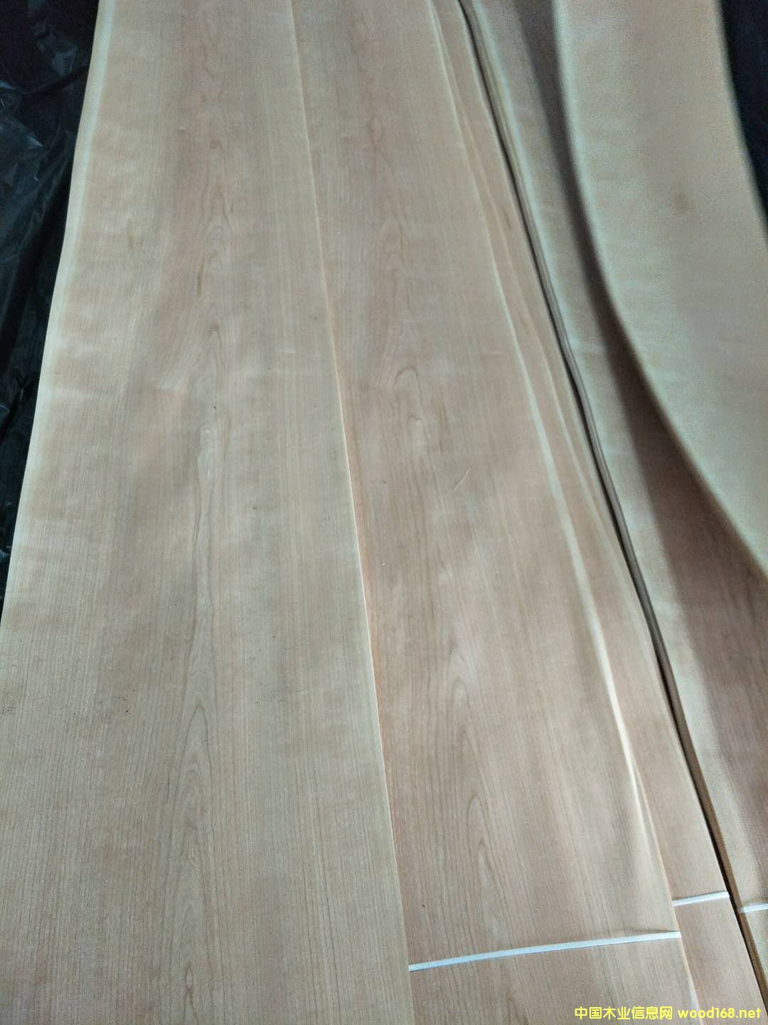 櫻桃的詳細(xì)介紹