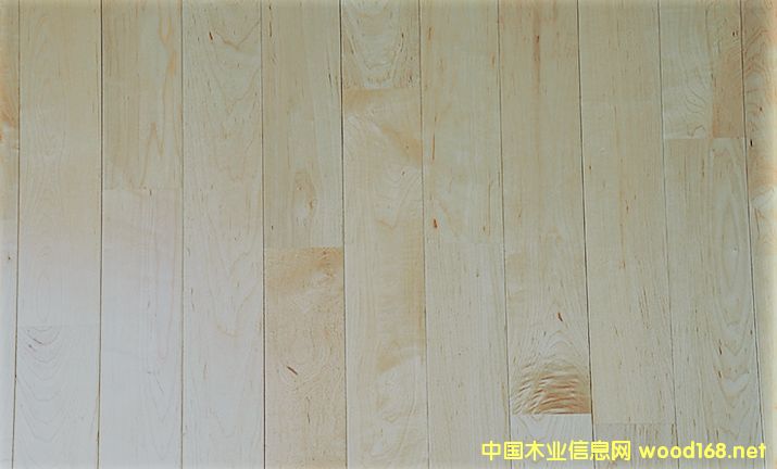 a(chn)ľA(sh)ľ@^w^ذ