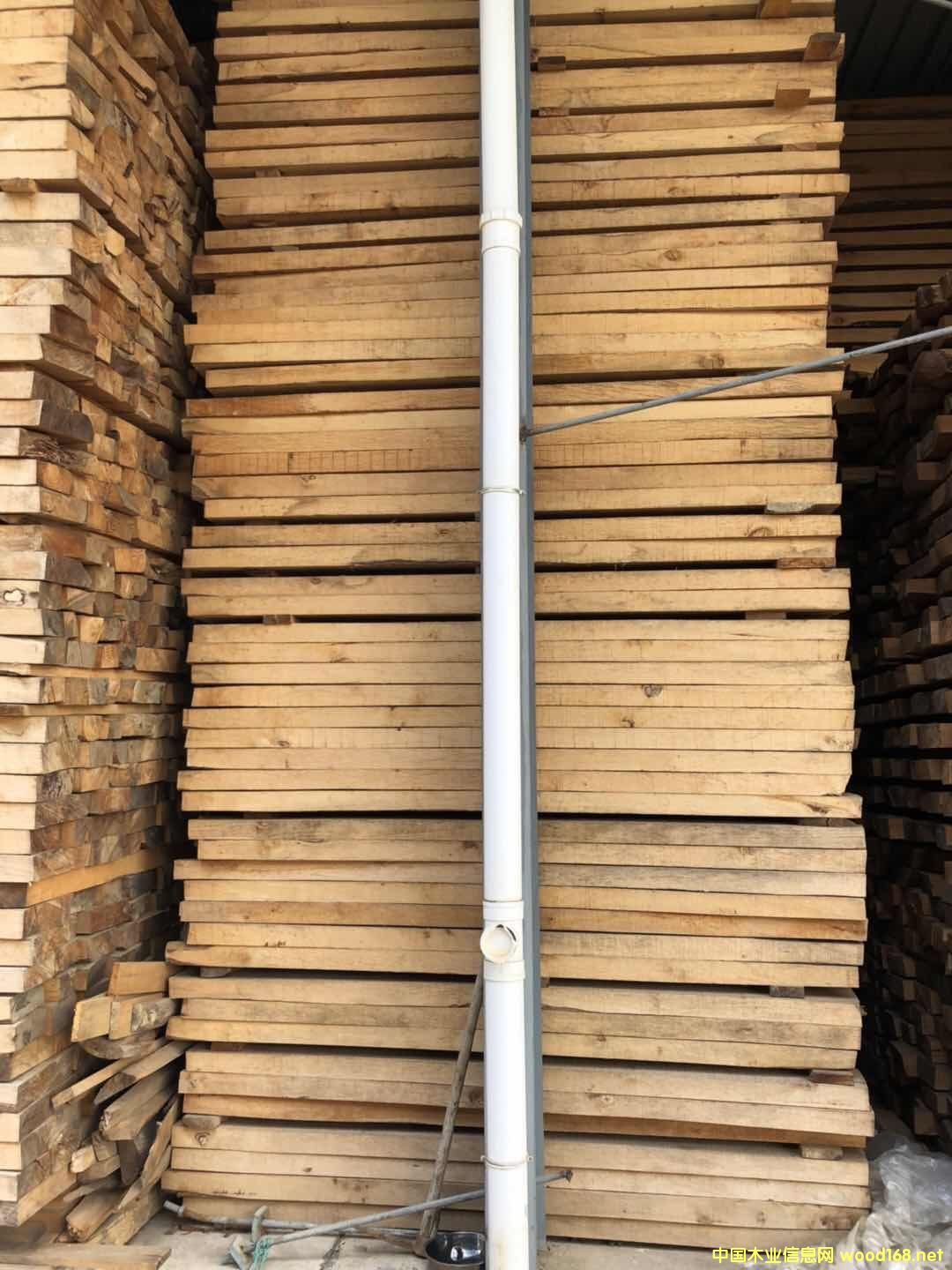 冬瓜木的詳細介紹