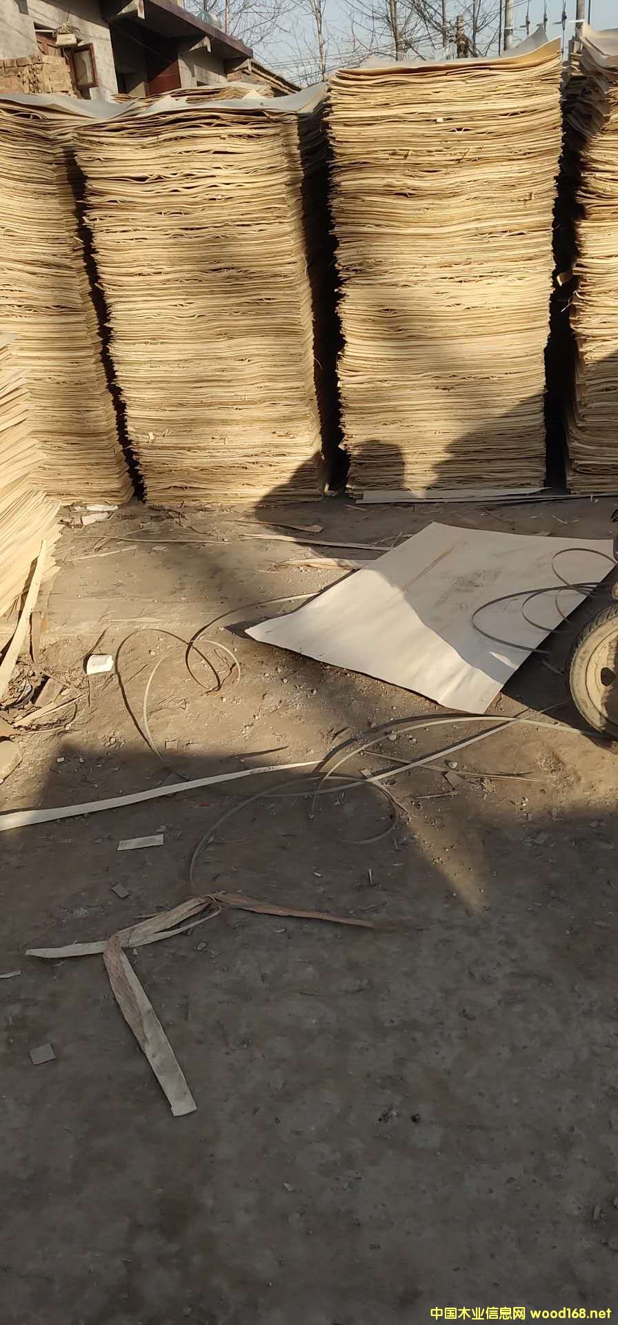 板材的詳細介紹