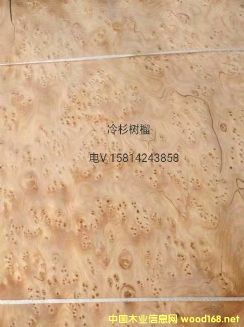 (yu)|(zh)Ȼɼ(sh)ľƤ