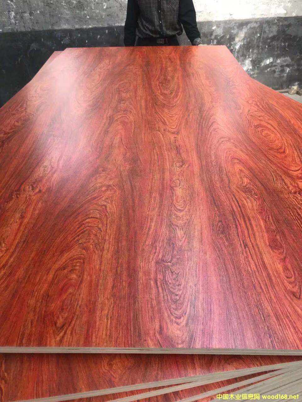 生態板的詳細介紹