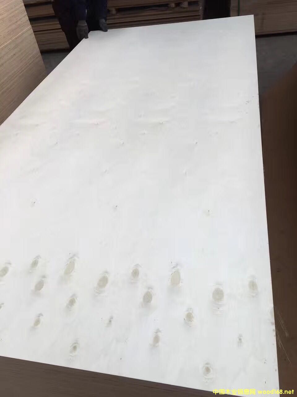 [] 5-25ӼҾ߰ģB