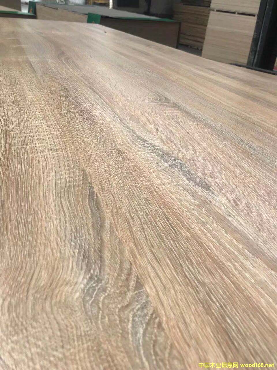 生態板的詳細介紹