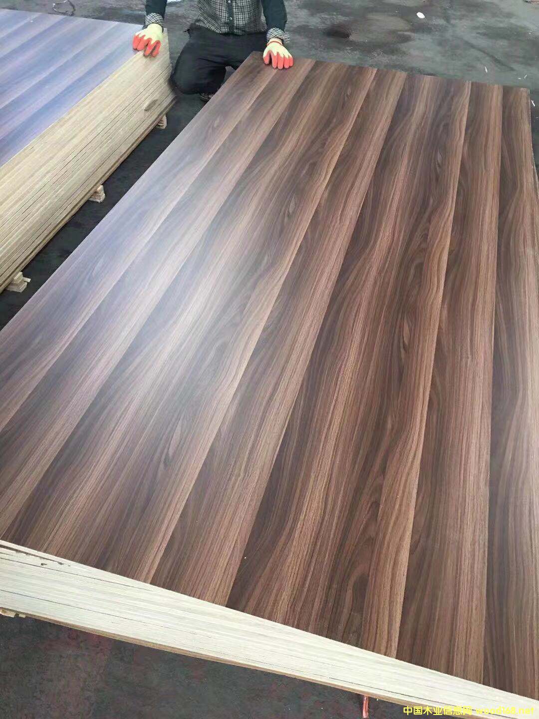 生態板的詳細介紹