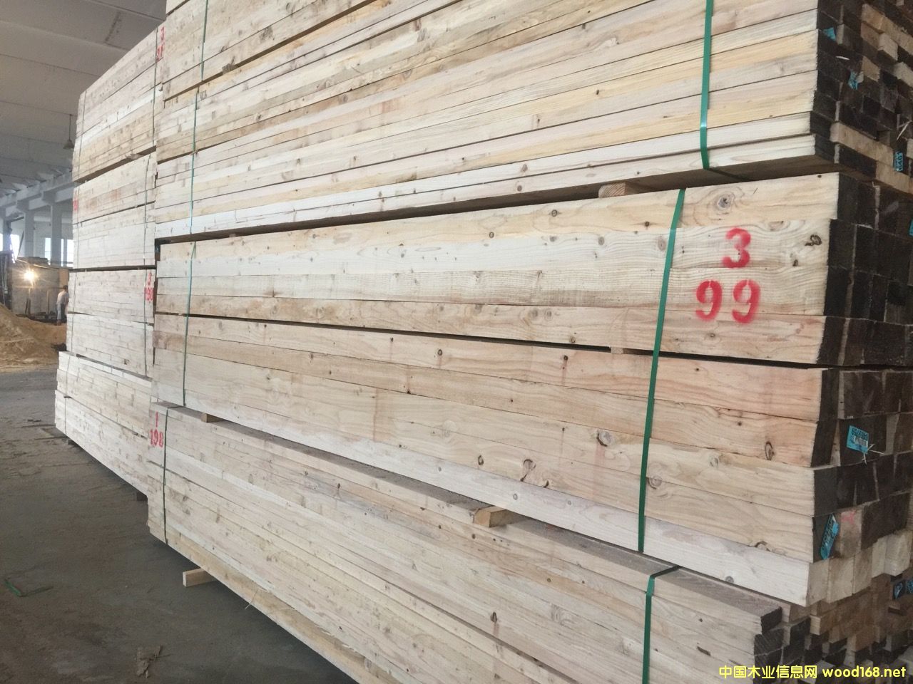 SֱNFɼľľľӡŽġbĵԔB