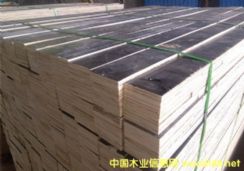 bô?sh)ĶӰzϰ|ȗlľ