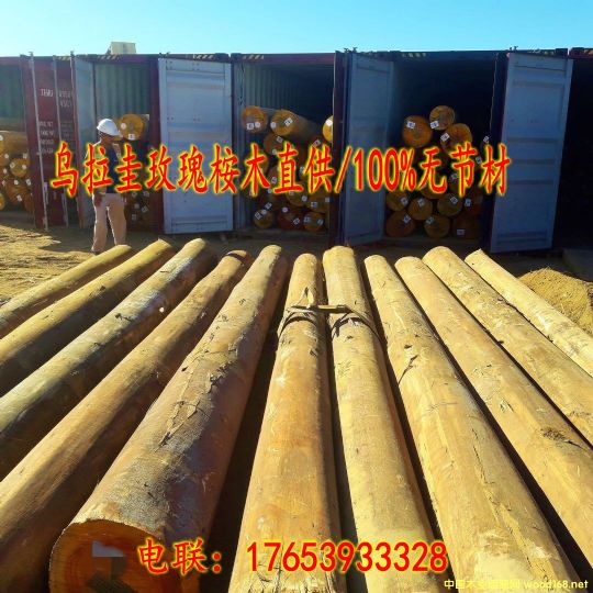 õľԭľֱ/100%o/FSCJCԔB