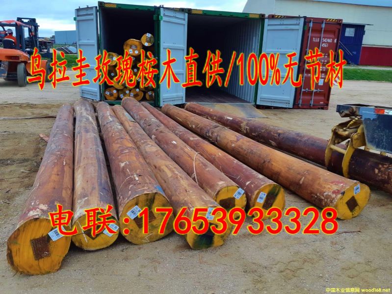 Mõľԭľ/100%oĵԔB