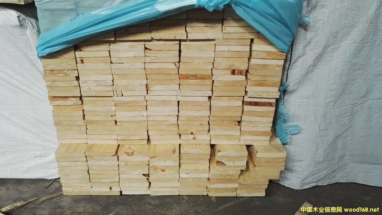 [] ؛PanpacݗɼҾ߼ҾߏSx