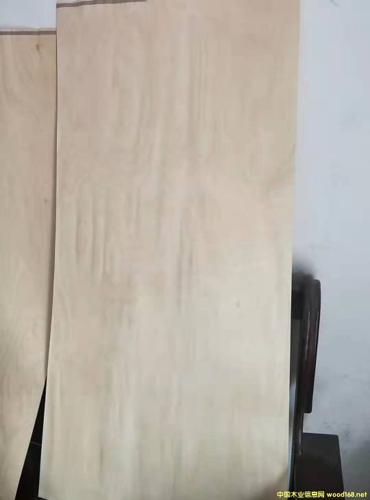 產品的詳細介紹