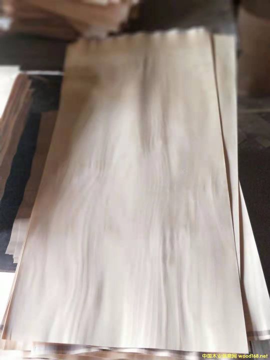 產品的詳細介紹