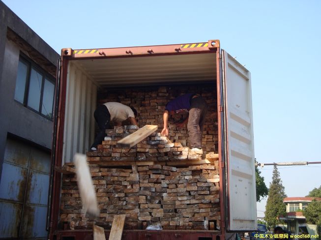 [] ľģRľalbizia falcata